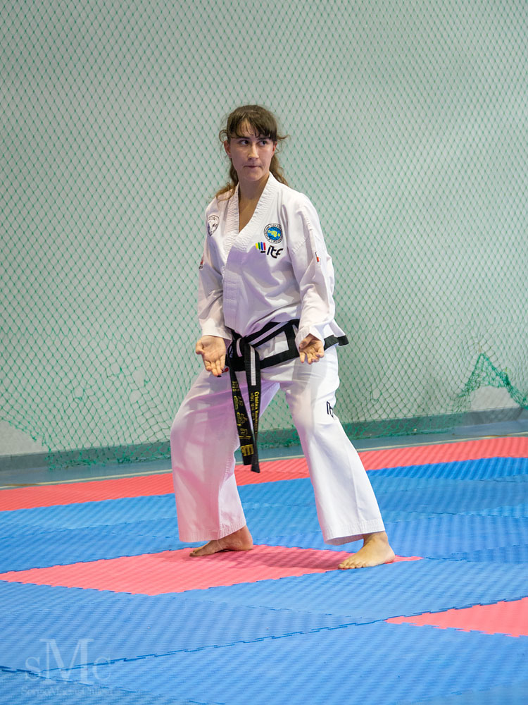 Copa Seul 2018 (27).jpg